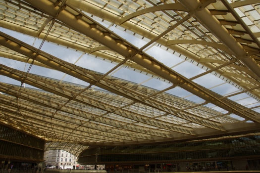 Les Halles Canopy