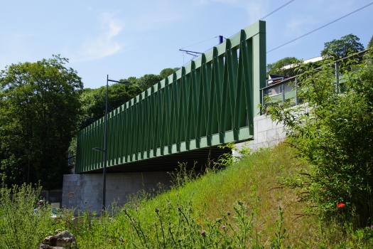 Sèvres Tramway Bridge 