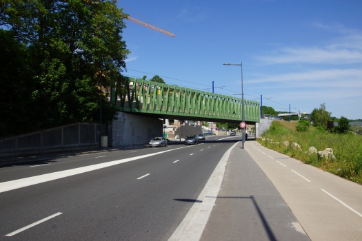 Straßenbahnbrücke Sèvres