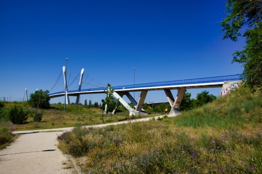 Parque de la Cuña Footbridge (R-3)
