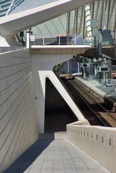 Bahnhof Liège-Guillemins