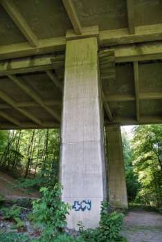 Rinderbach Viaduct 