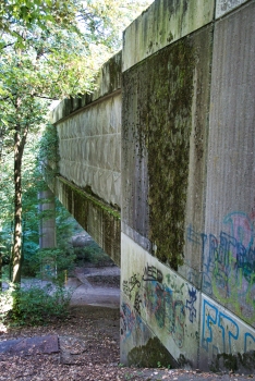 Rinderbach Viaduct