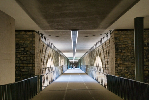 Pedestrian and Cycleway Bridge under Adolphe Bridge 
