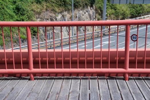 Sestao Footbridge 