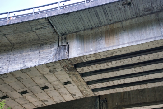 Chonta Viaduct