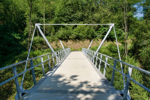 Geh- und Radwegbrücke im Miramón-Wald
