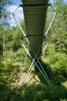 Miramón Forest Footbridge