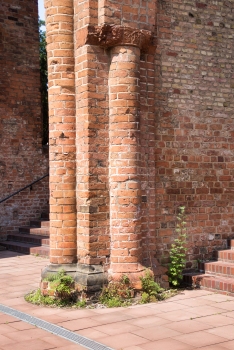 Église abbatiale franciscaine de Berlin