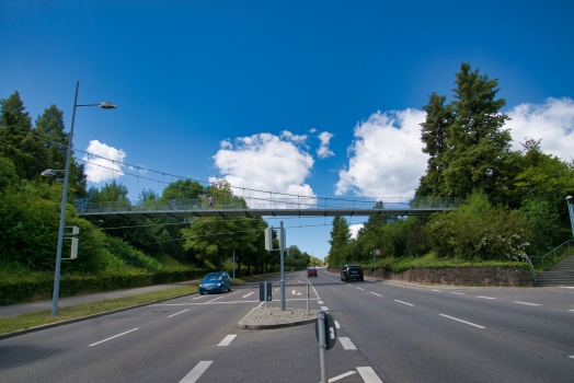 Kochenhof Footbridge