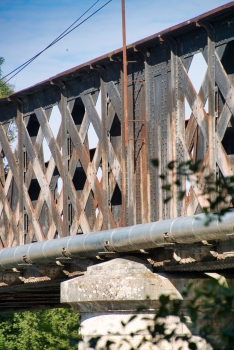 Dole Rail Bridge 