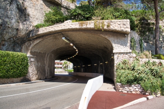 Tunnel Fort Antoine
