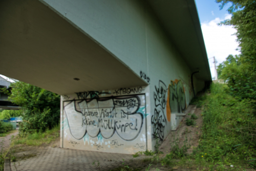 Straßenbahnbrücke Schkopau 