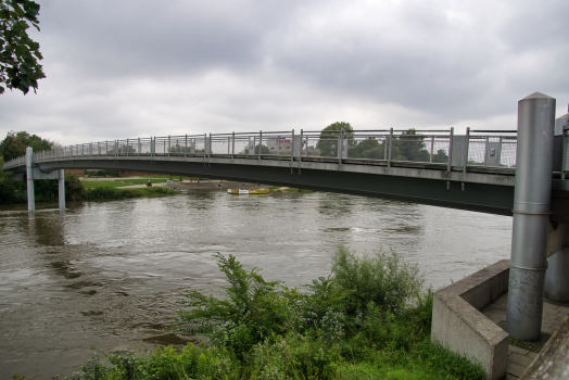 Danube Footbridge