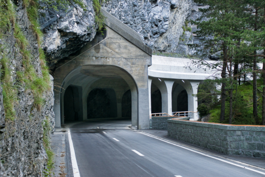Trögli Tunnel