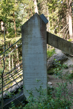 Traversina Footbridge II