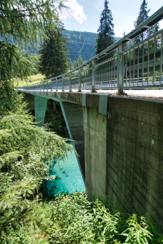 Hinterrheinbrücke Rüti (13) 