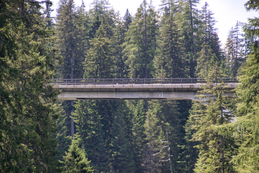 Hinterrheinbrücke Rüti (A13)
