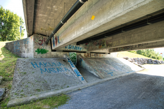 Pont de la Biltnerstrasse