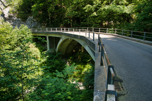 Ziggenbach Bridge