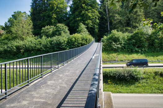 Birchweid Footbridge 