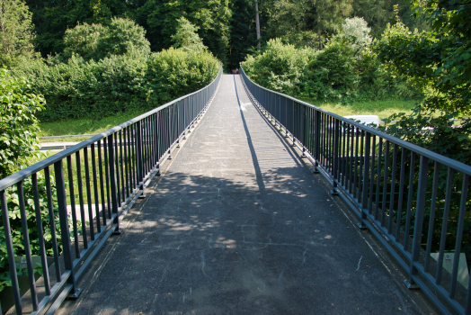 Birchweid Footbridge 
