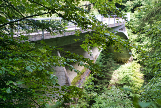 Pont de Schwandbach