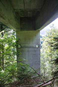 Schwarzwasserbrücke (Bahn) 