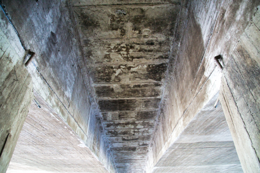 Regina Margherita-Brücke 