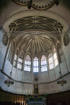 Cathédrale Saint-Vincent de Viviers 