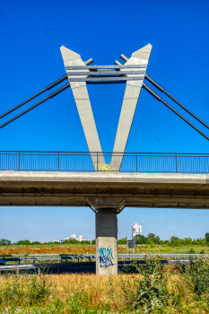 Teutschenthaler Landstrasse Bridge