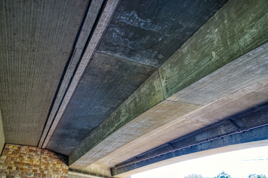 Talbrücke Weisse Elster