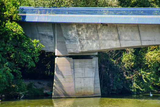 Jean Monnet Bridge 