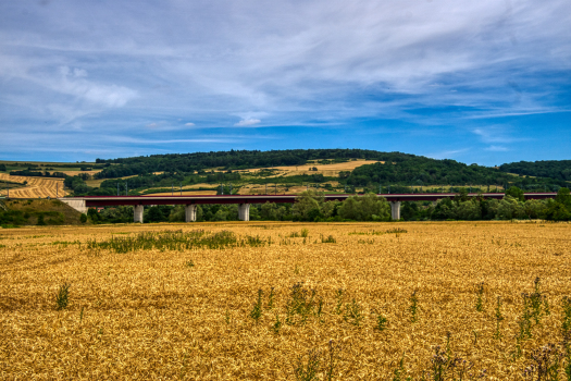 Mosel Canal Viaduct 