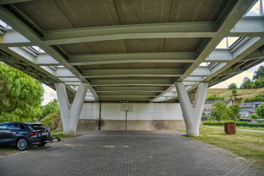Albertkanal-Hängebrücke Kanne