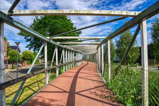 Anaconda Footbridge