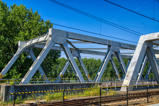 Pont ferroviaire de Diemen
