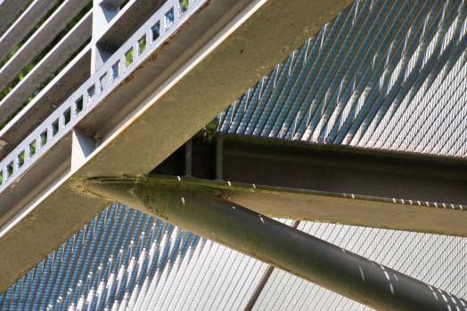 Ludwig-Erhard-Ufer Garden Footbridges