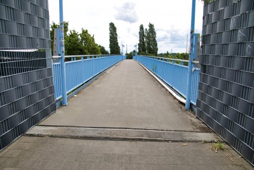 Rheinblick Footbridge 