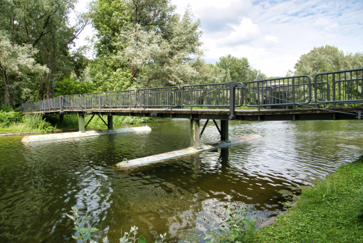 Pontonbrücke Rheinaue IV