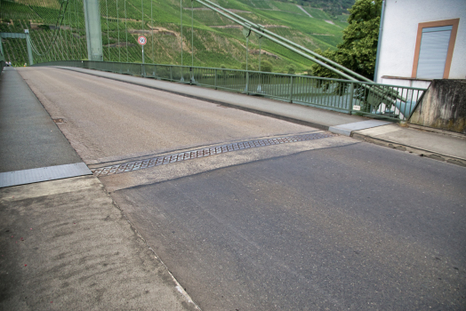 Pont suspendu de Wehlen 