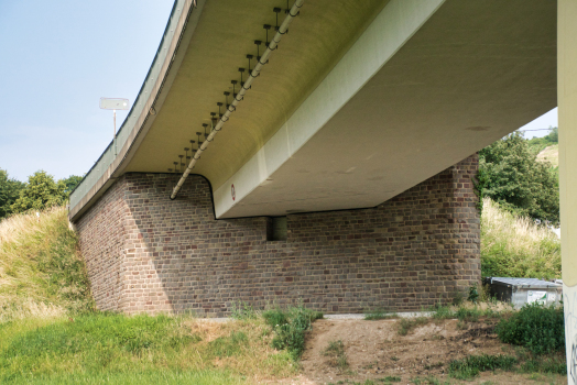 Pont de Neumagen-Drohn