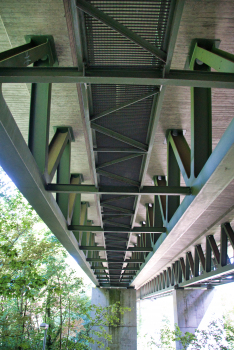 Brücke bei Nesenbach