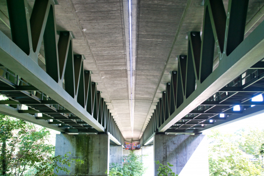 Pont du Nesenbach
