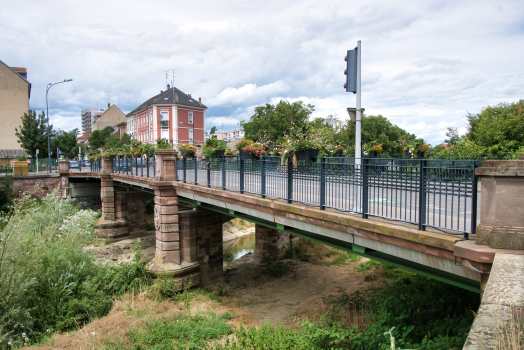 Anna Schoen Bridge