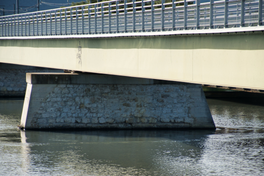 Pont-de-l'Isère Footbridge 