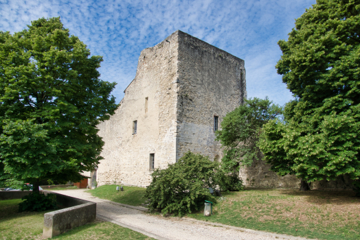 Château des Adhémar 