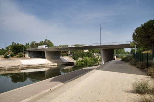 Pont Raymond-Chauliac