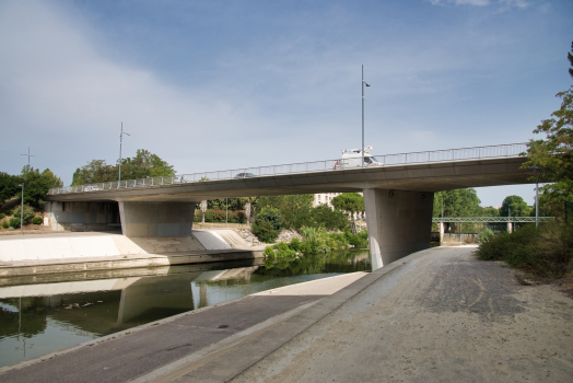 Raymond-Chauliac-Brücke