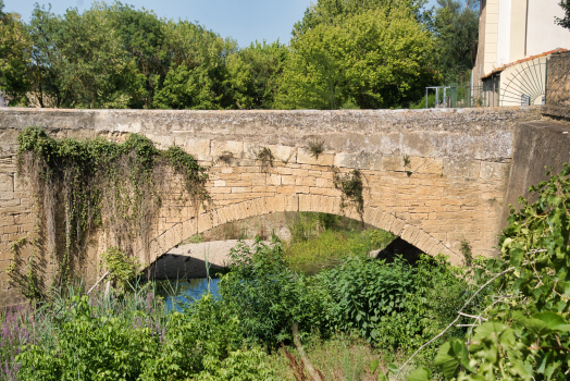 Saint-Thibéry Medieval Bridge 